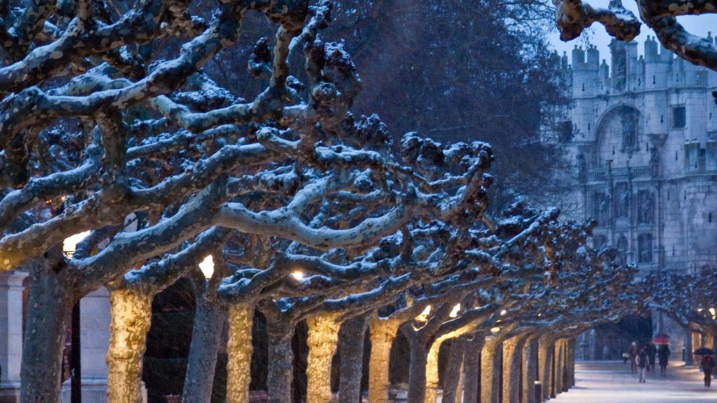 Arco de Santamaría, monumentos imprescindibles de Burgos